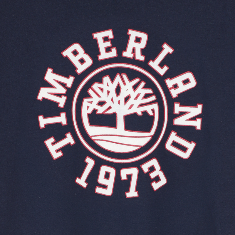 Tee-shirt manches longues TIMBERLAND 
                        GARCON