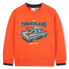 Sweat-shirt en molleton gratt&eacute;, TIGERLILY, hi-res