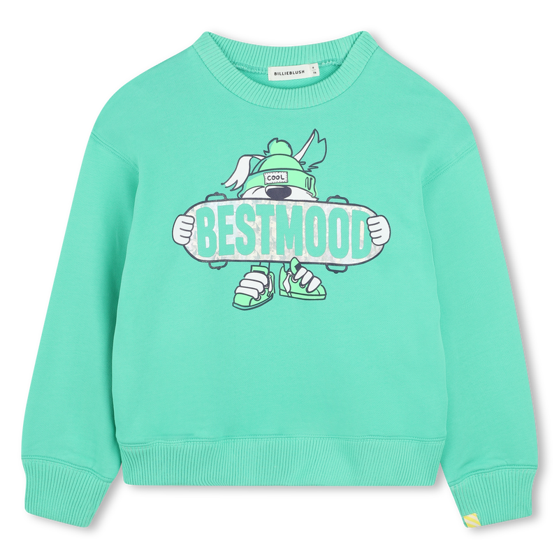 Sweat en molleton BILLIEBLUSH 
                    GARCON