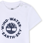 Tee-shirt manches courtes TIMBERLAND 
                    GARCON