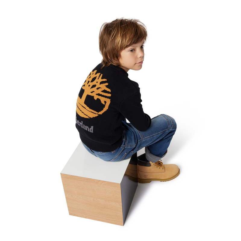 Pull fantaisie TIMBERLAND 
                    GARCON