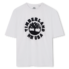 Tee-shirt &agrave; manches courtes TIMBERLAND 
                    GARCON