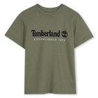 Tee-shirt manches courtes, TILLEUL, hi-res