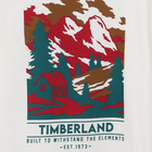 Tee-shirt manches longues TIMBERLAND 
                    GARCON