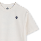Tee-shirt manches courtes TIMBERLAND 
                    GARCON