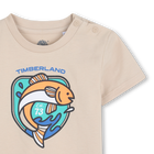 Tee-shirt manches courtes TIMBERLAND 
                    GARCON