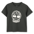 T-shirt &agrave; manches courtes TIMBERLAND 
                    GARCON