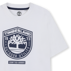 Tee-shirt manches courtes TIMBERLAND 
                    GARCON