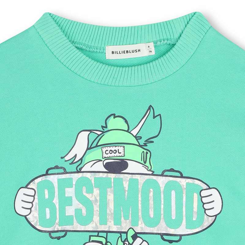 Sweat en molleton BILLIEBLUSH 
                    GARCON
