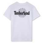 Tee-shirt manches courtes TIMBERLAND 
                    GARCON