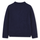 Pull en tricot BILLIEBLUSH 
                    GARCON