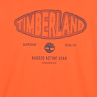 Tee-shirt manches longues en jersey TIMBERLAND 
                    GARCON