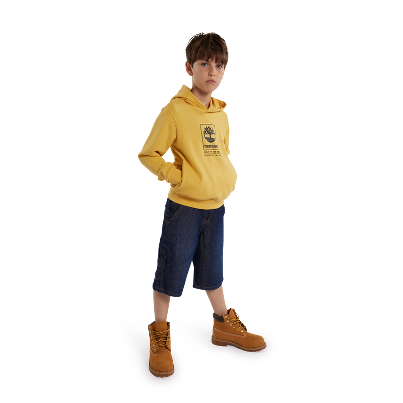 Sweat-shirt molleton à capuche TIMBERLAND 
                    GARCON