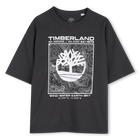 Tee-shirt manches courtes TIMBERLAND 
                    GARCON