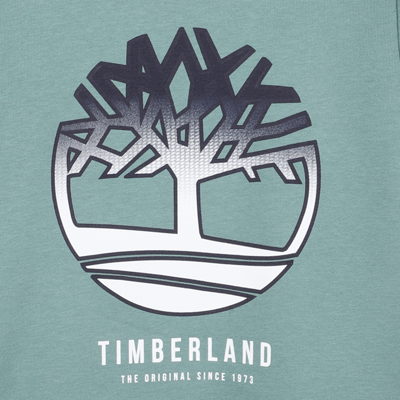 SWEAT A CAPUCHE TIMBERLAND 
                    GARCON