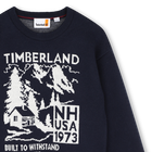 Pull TIMBERLAND 
                    GARCON