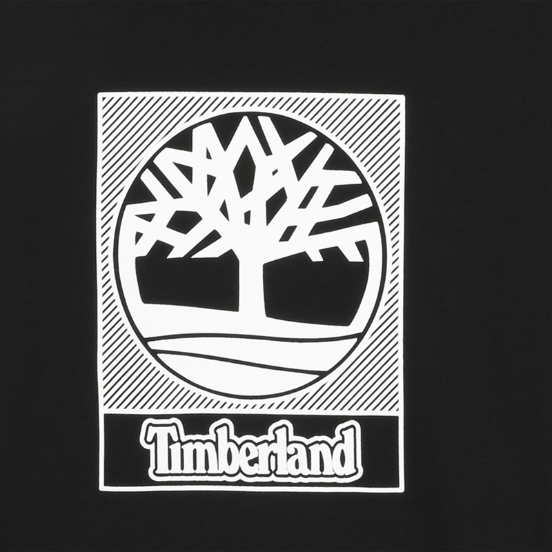 Tee-shirt à manches courtes TIMBERLAND 
                    GARCON
