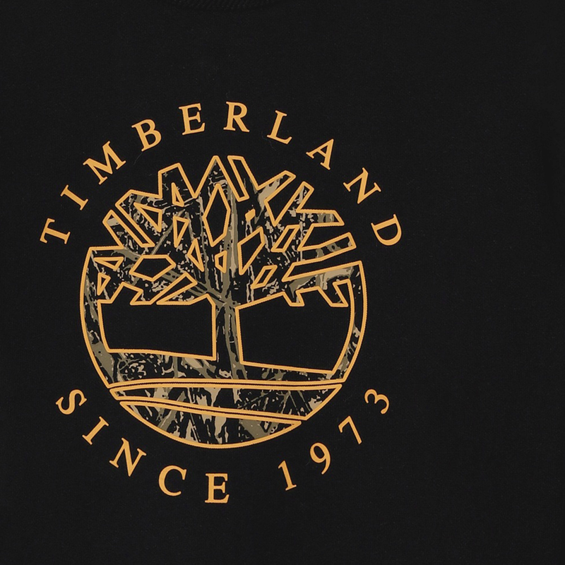 Sweat-shirt en molleton gratt&eacute; TIMBERLAND 
                        GARCON