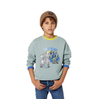 Sweat-shirt en molleton gratt&eacute; TIMBERLAND 
                    GARCON