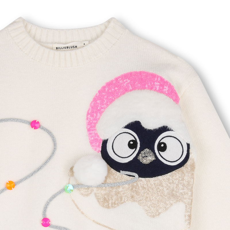 Pull BILLIEBLUSH 
                        FILLE