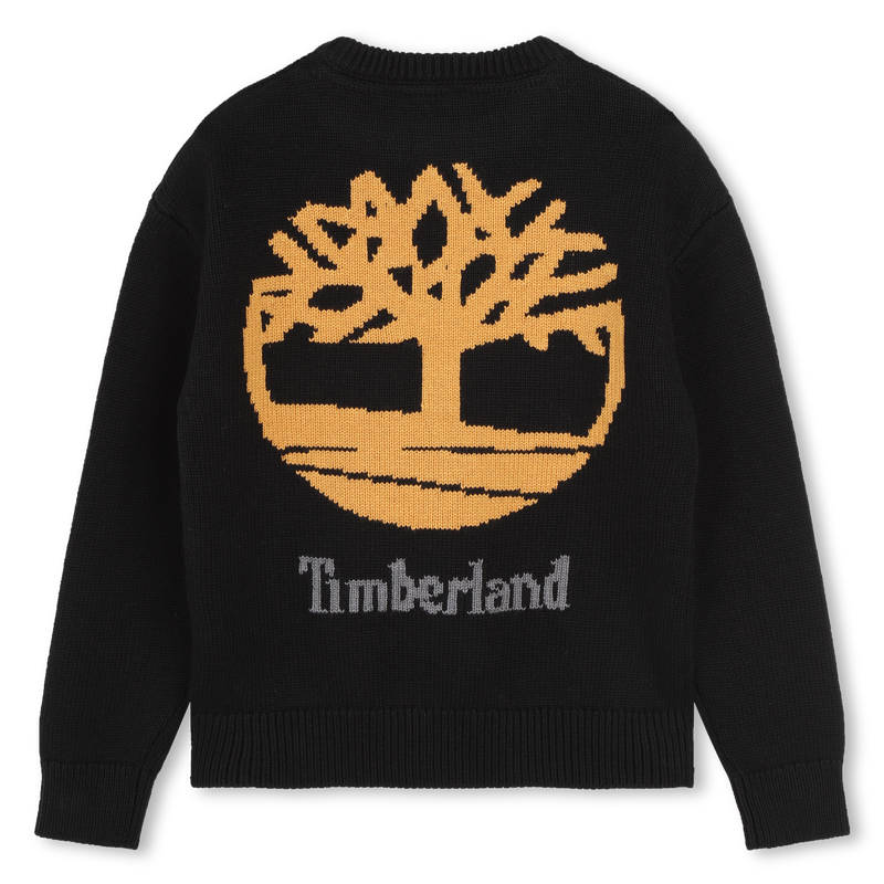 Pull fantaisie TIMBERLAND 
                    GARCON