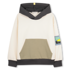 Sweat &agrave; capuche BILLIEBLUSH 
                    GARCON