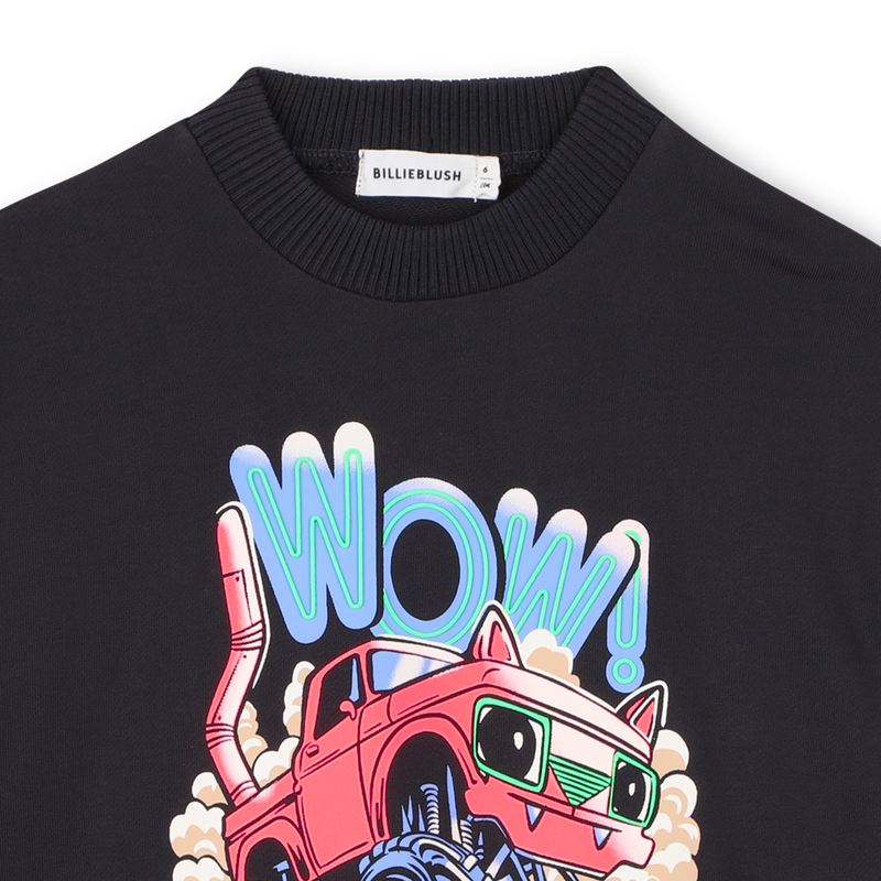 Sweat en molleton BILLIEBLUSH 
                    GARCON