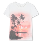 Tee-shirt manches courtes, PETAL PINK, hi-res