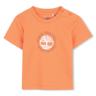 Tee-shirt manches courtes TIMBERLAND 
                    GARCON
