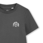 Lot de 2 Tee-shirts TIMBERLAND 
                    GARCON