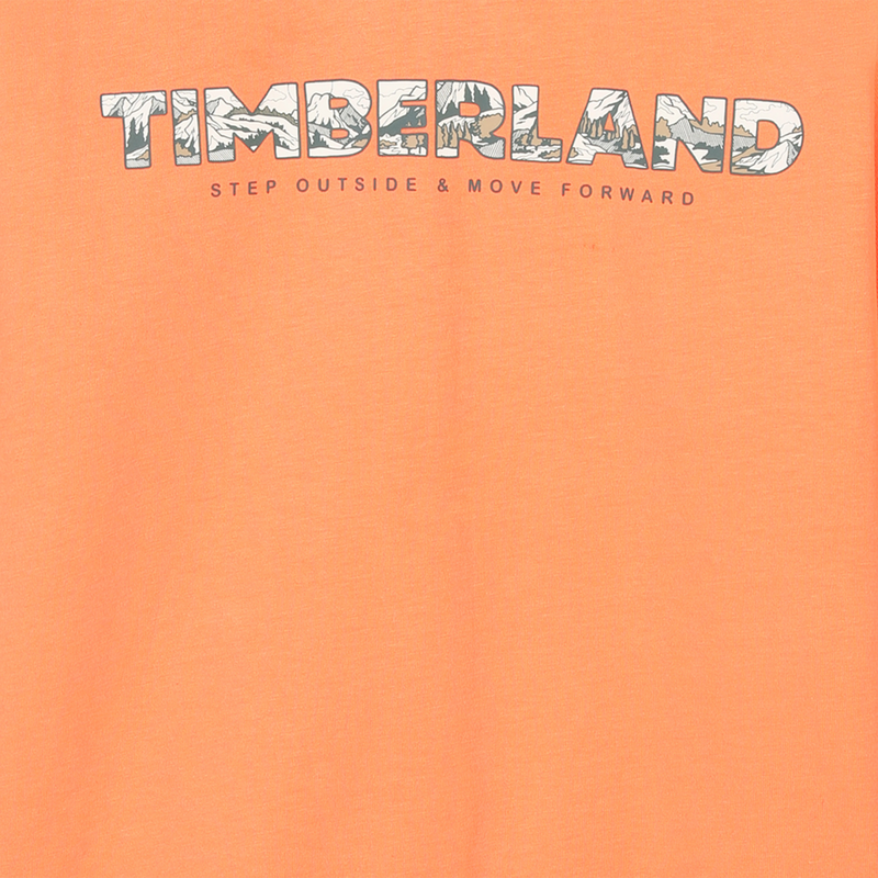 T-shirt large TIMBERLAND 
                    GARCON