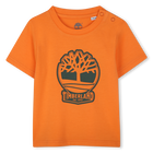 T-shirt &agrave; manches courtes TIMBERLAND 
                    GARCON