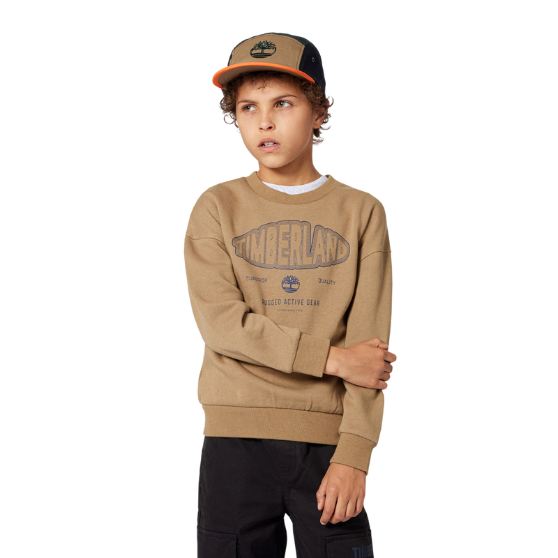 Sweat-shirt en molleton gratté TIMBERLAND 
                    GARCON