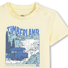 Tee-shirt manches courtes TIMBERLAND 
                    GARCON