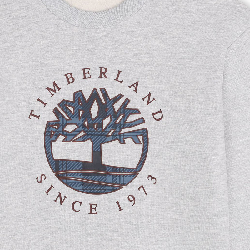 Sweat-shirt en molleton gratt&eacute; TIMBERLAND 
                        GARCON