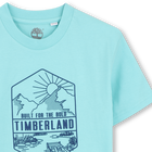 Tee-shirt manches courtes TIMBERLAND 
                    GARCON