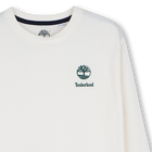 Lot de tee-shirts TIMBERLAND 
                    GARCON