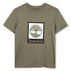 Tee-shirt manches courtes, TILLEUL, hi-res
