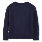 Pull en tricot BILLIEBLUSH 
                    FILLE