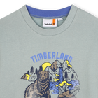 Sweat-shirt en molleton gratt&eacute; TIMBERLAND 
                    GARCON