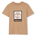 Tee-shirt manches courtes TIMBERLAND 
                    GARCON