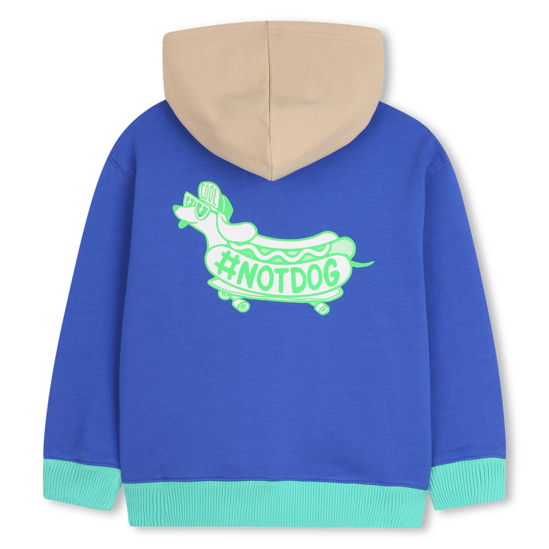 Sweat à capuche BILLIEBLUSH 
                    GARCON
