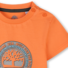 T-shirt &agrave; manches courtes TIMBERLAND 
                    GARCON