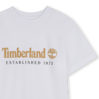 Tee-shirt manches courtes TIMBERLAND 
                    GARCON