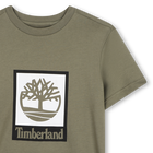 Tee-shirt manches courtes TIMBERLAND 
                    GARCON