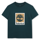 Tee-shirt manches courtes TIMBERLAND 
                    GARCON