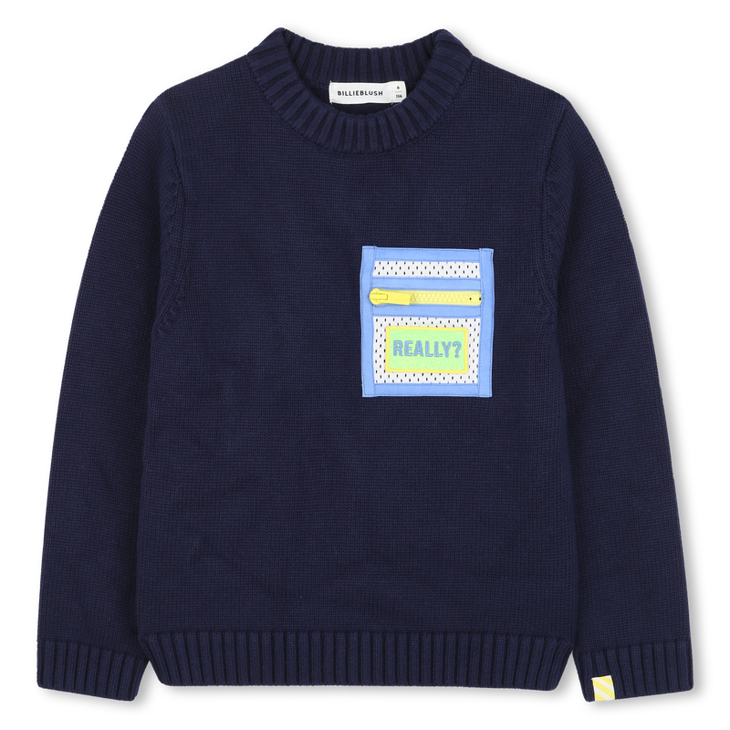 Pull en tricot BILLIEBLUSH 
                    GARCON