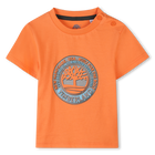T-shirt &agrave; manches courtes TIMBERLAND 
                    GARCON
