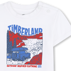 Tee-shirt manches courtes TIMBERLAND 
                    GARCON