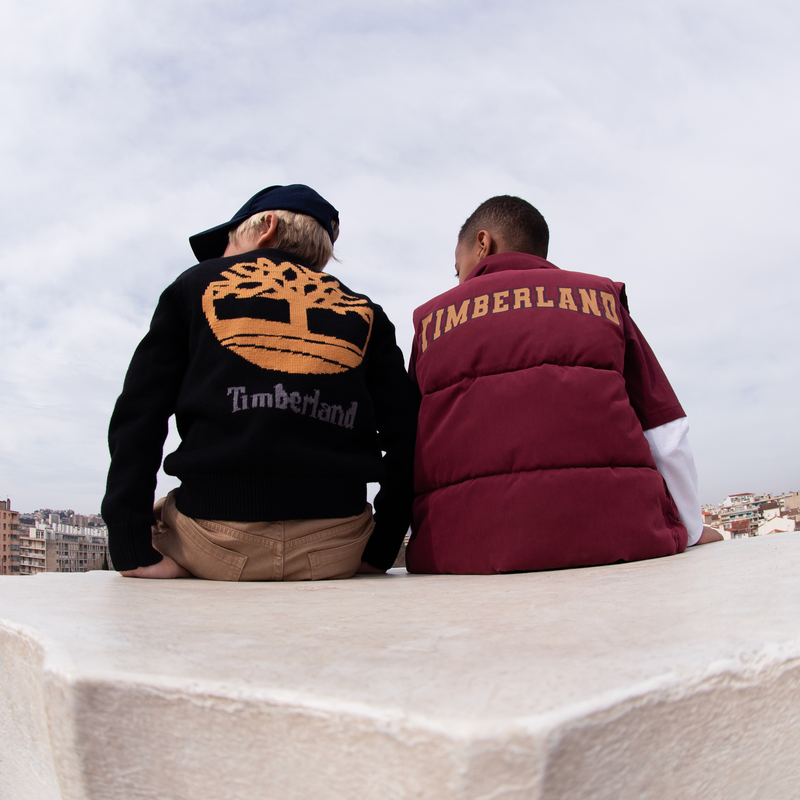 Pull fantaisie TIMBERLAND 
                    GARCON